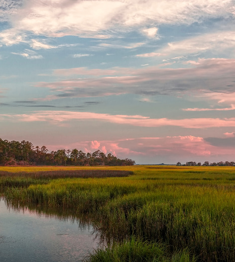 mobile mock up of 'will your money last as long as you do' white-paper