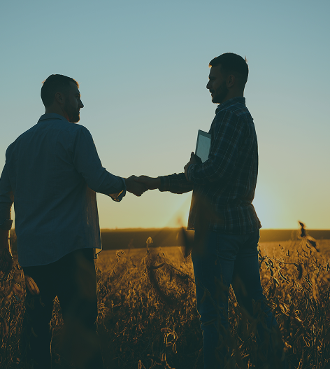 mobile mock up of 'will your money last as long as you do' white-paper